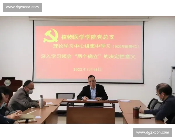 提高判断力与决策精准性的实用方法与策略解析 提高判断力与决策精准性的实用方法与策略解析