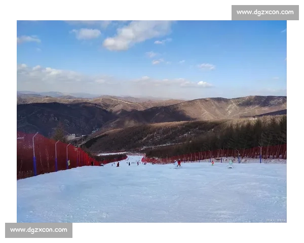 滑雪排名风云再起全球顶尖雪场高手竞技实力全景观察 滑雪排名风云再起全球顶尖雪场高手竞技实力全景观察