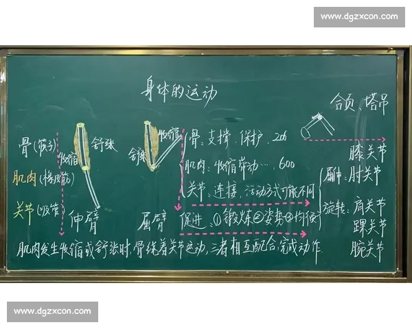 提升运动表现与身体素质的科学训练方法探索与实践
